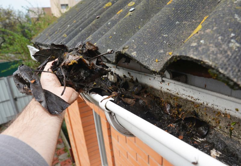 Clogged Gutter Removal